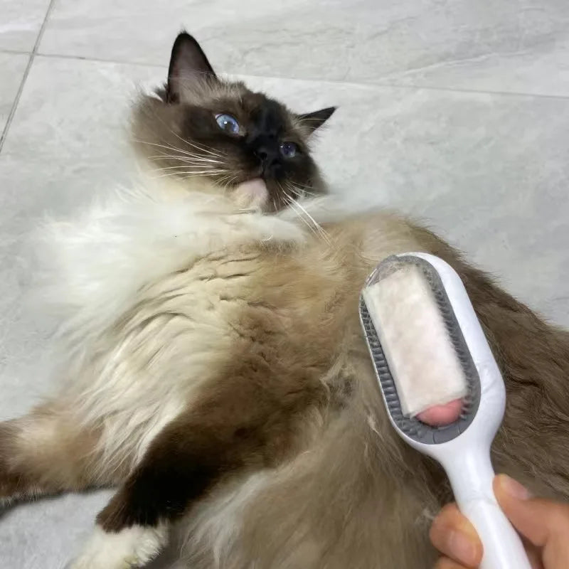 Kitty Grooming Brush